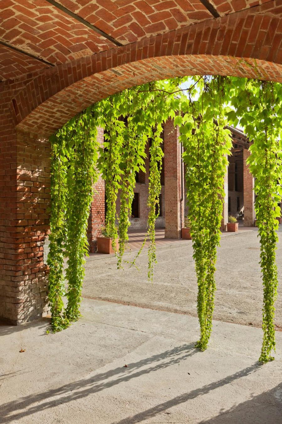 Marchesi Incisa Winery Lodge Rocchetta Tanaro Εξωτερικό φωτογραφία